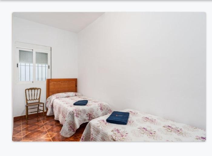 Casa Loli Apartamento Conil De La Frontera Exterior foto